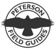 rtpfg-logo.gif