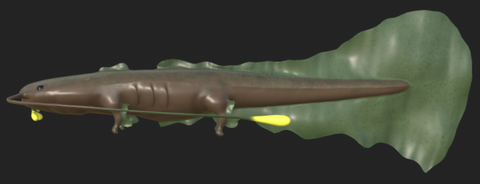 Underwater Creature Render 2