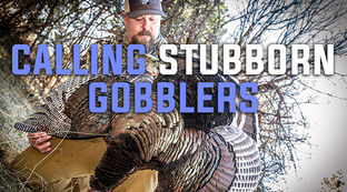 Turkey Tactics - Calling Stubborn Gobblers