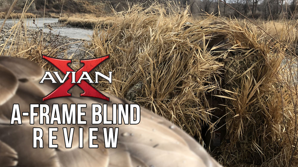 Avian X AFrame Blind Review