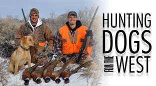 Hunting Dogs for the West