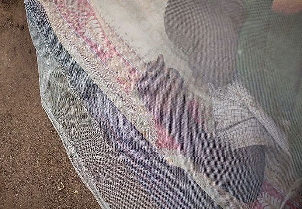 mosquito-net.jpg