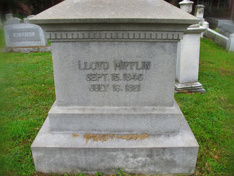 Gravesite for Sore Eyes