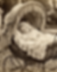 martha mifflin simulated.png