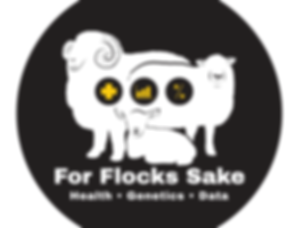 FFS LOGO (5)SMALL.png