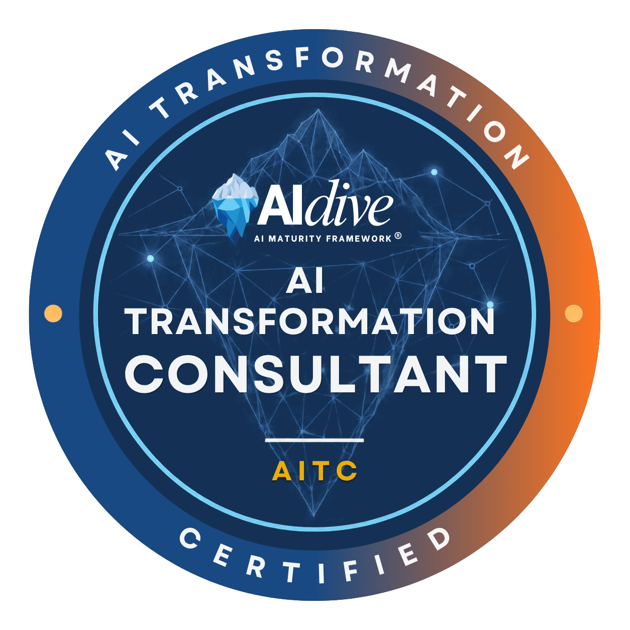 AI Transformation Consultant