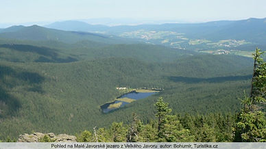 Národní park Bavorský les