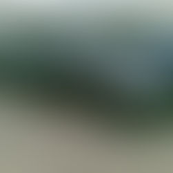 Audi A8, přestavba na LPG