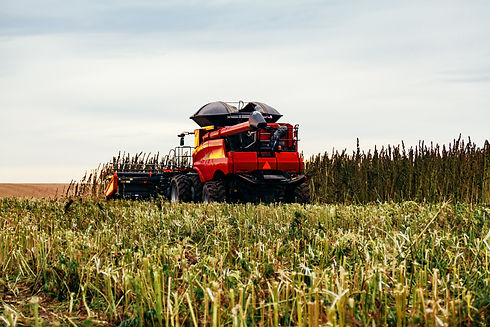 AdobeStock_124404465 copy.jpeg
