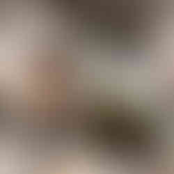 Antes y después de la restauración del gigante de la Reina Berenguela de Castilla para las fiestas de Burgos 2025. Por el artista Santiago Heras Ortega