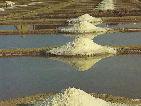 French Grey Sea Salt