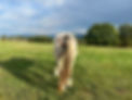 IMG_3548.jpeg