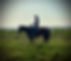 IMG_4605.jpeg