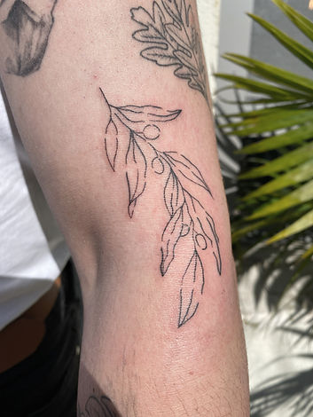 AfterlightImage 3.JPG