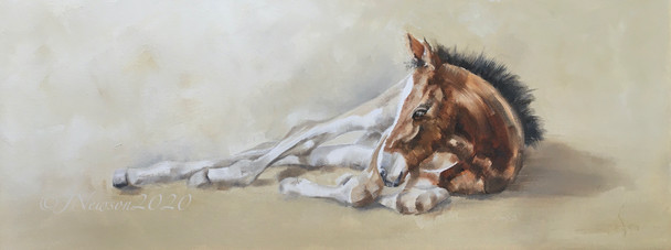 Resting foal £145