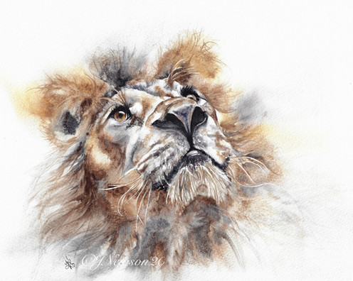 It's a jungle out there £85
