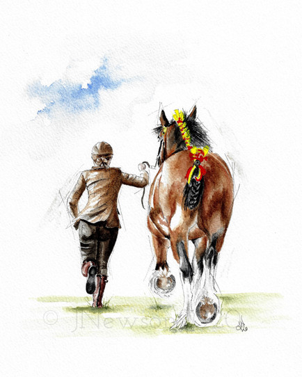 The Judging Ring £100