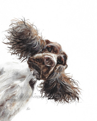 ** SOLD** Downward Dog