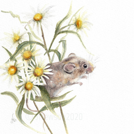 **SOLD** Little mouse