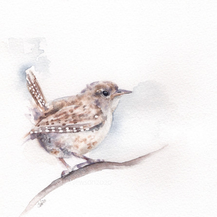 Jenny Wren £60