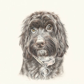 Tilly