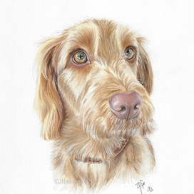 Alfie