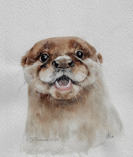 Otterly adorable **SOLD**