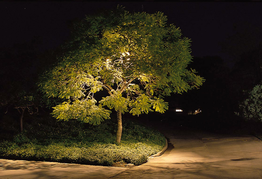 Светец 16 век. "солнце в лесу". Cree led 5000 lumens. Человек в лесу ночью. Мистический лес.