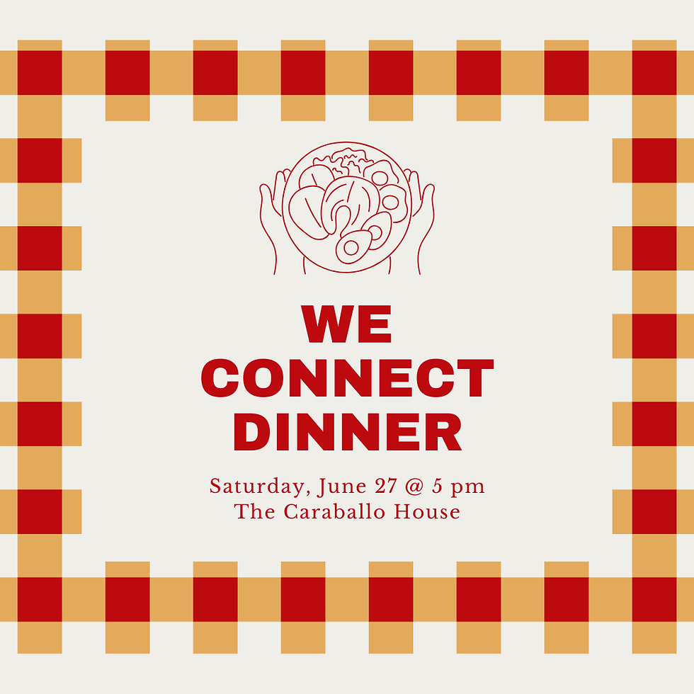 We Connect Dinner