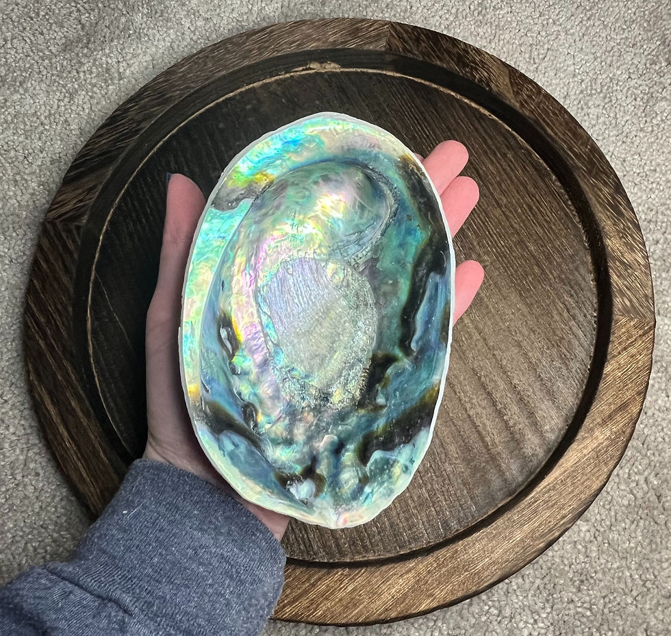 Thumbnail: Abalone Shell Large 4-6.5" 