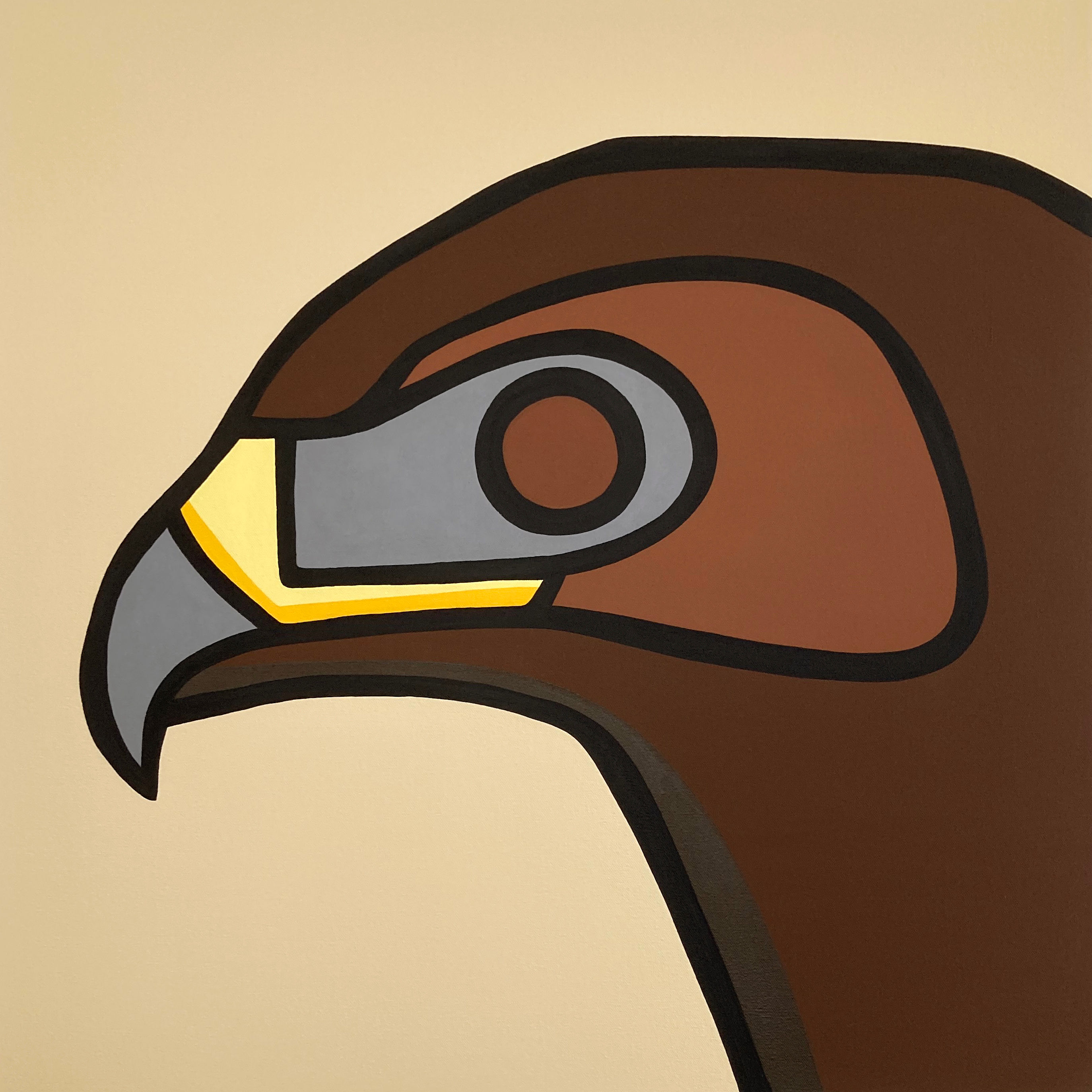 Hawk    •      24" x 24"