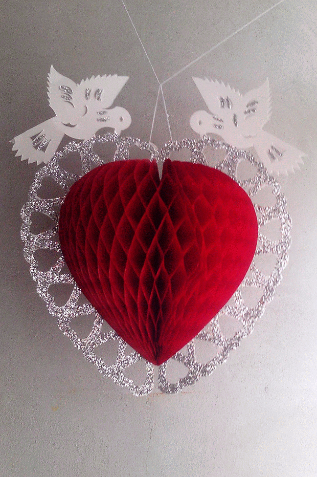 IMG_20160710_134208-ANIMATION