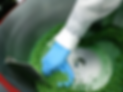 Seeds.png