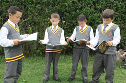 Grado segundo