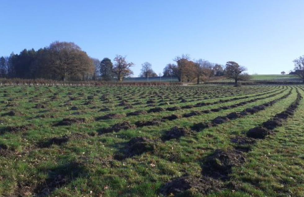 Llanover Estate Monmouthshire