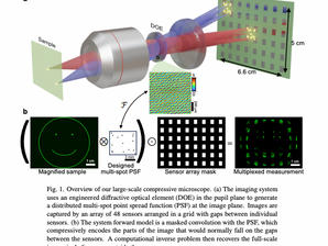 "Large-scale compressive microscopy via diffractive multiplexing across a sensor array" preprint released