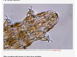 Our tardi-preprint picked up in Science