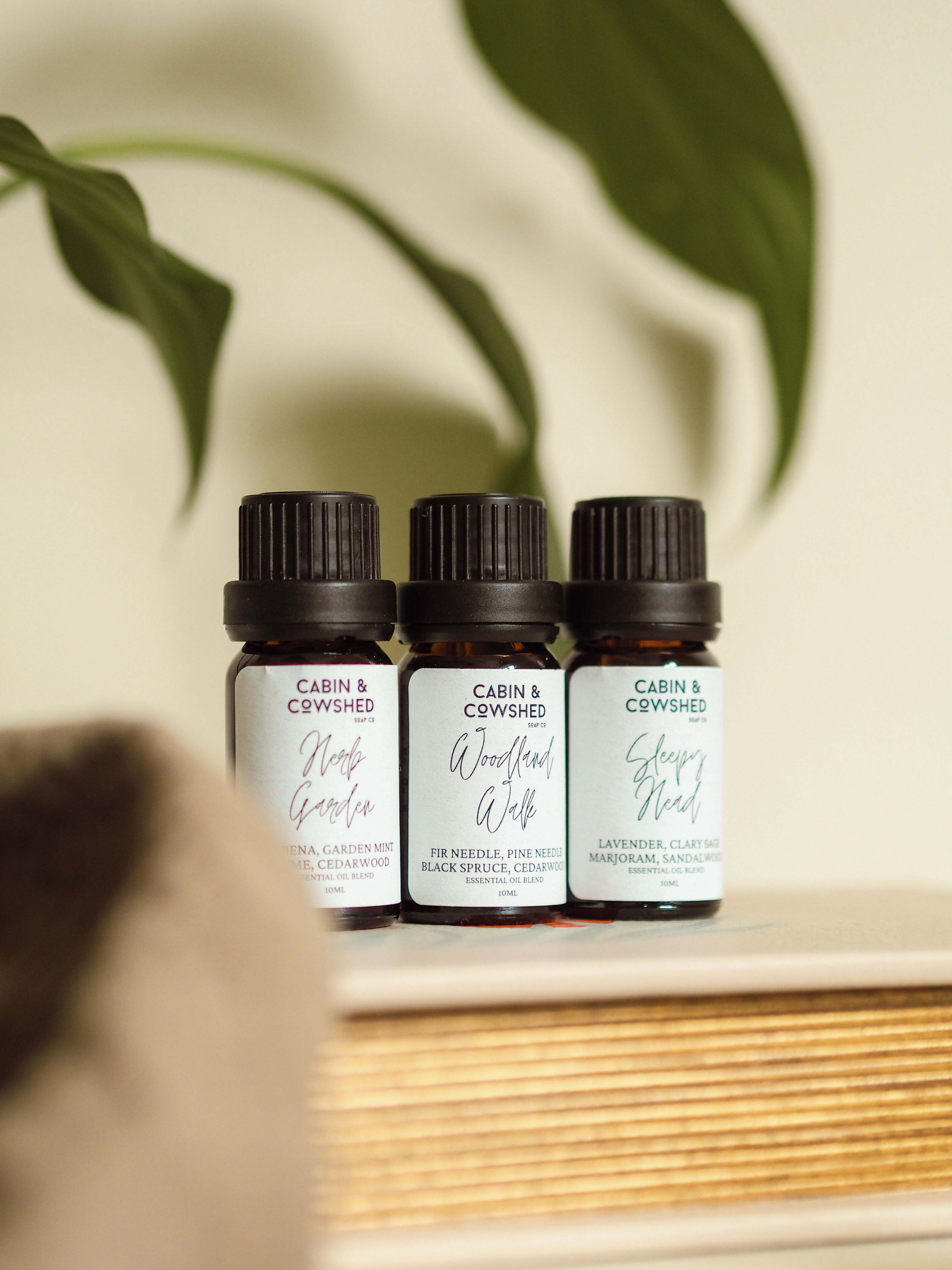 Woodland Walk | Essential Oil