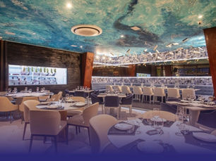 5 Melhores Restaurantes para Almoçar em Balneário Camboriú: Experiências Gastronômicas Imperdíveis