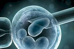 nanotecnologia microorganismo