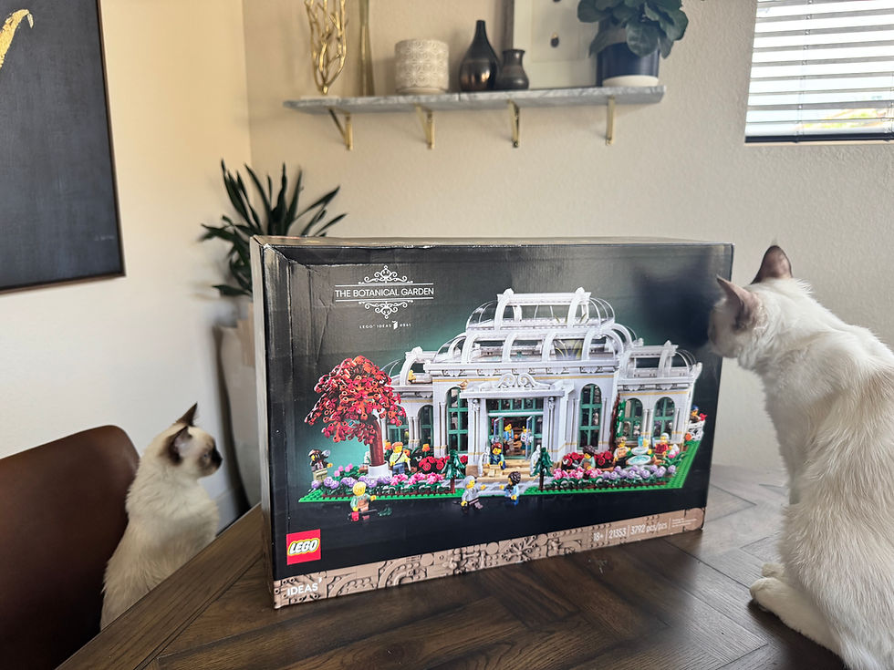 Two Siamese cats inspect a LEGO Botanical Garden box on a dining table in a bright room.