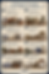 Infographic poster titled A Miniature Ceramics Project Menu by Medium, with 8 numbered panels of tiny clay pieces and tools.