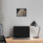 Thumbnail: Villa Luminosa Palladian-Inspired Dollhouse Canvas Print