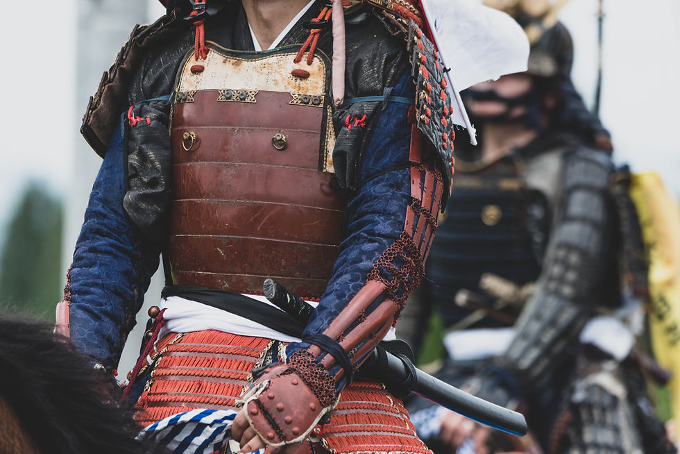 pixta_73763220_XL samurai.jpg