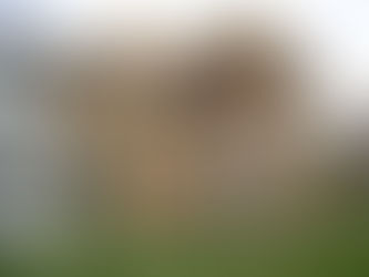 Communication is Key: Ensuring Smooth Collaboration with Your Builder