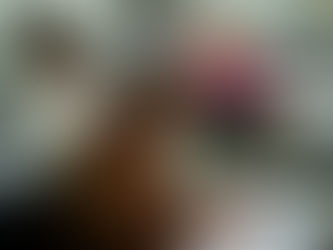 ¿Cómo diferenciar los tipos de títulos en IE University?