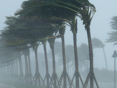 Shelter from the Storm (Psalm 55)