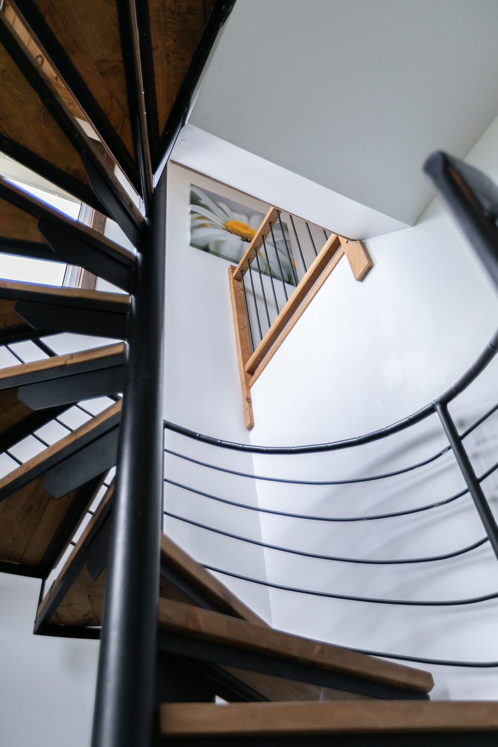 CHOK Images - 15 ans de service Photographe Sport, Corporatif, Immobilier, Mariage, Événementiel...Photographe Matane -Photographe Gaspésie - Photographe Bas St-Laurent - Photographe Québec - Photographe Gatineau - Photographe Montréal - Photographe Rouyn