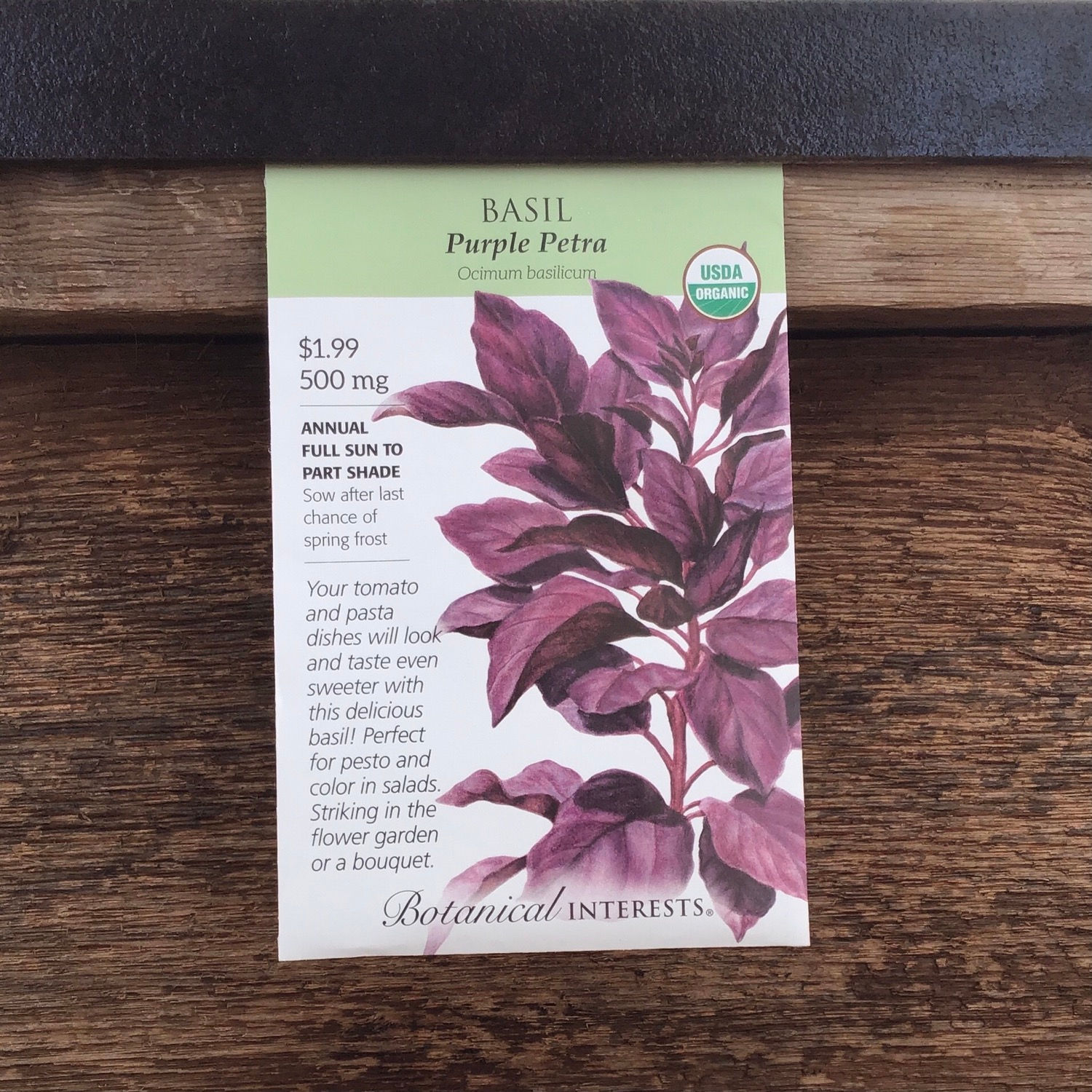 Basil purple Petra organic