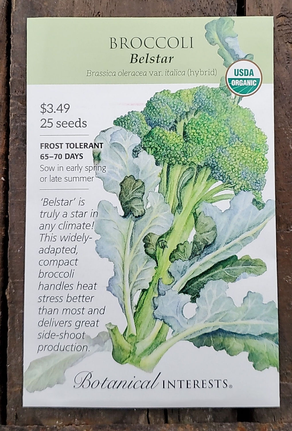 Broccoli Belstar Organic